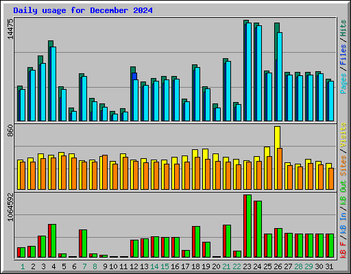 Daily usage for December 2024