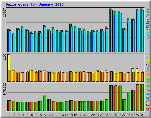Daily usage for January 2025