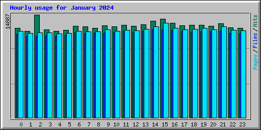Hourly usage for January 2024