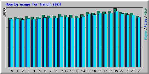 Hourly usage for March 2024