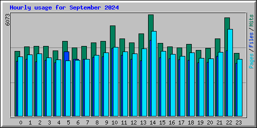 Hourly usage for September 2024