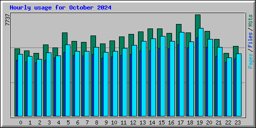 Hourly usage for October 2024