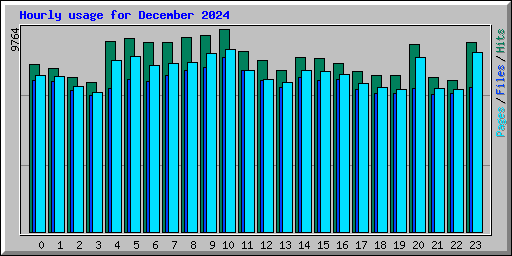 Hourly usage for December 2024