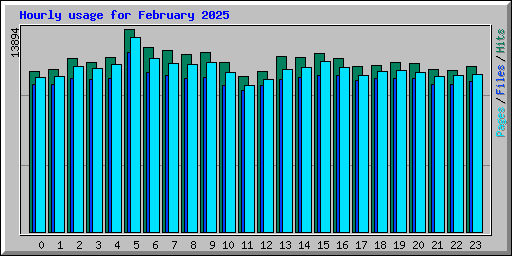 Hourly usage for February 2025