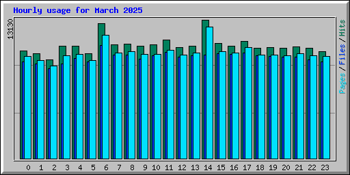 Hourly usage for March 2025