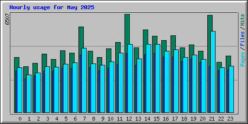 Hourly usage for May 2025