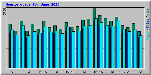 Hourly usage for June 2025