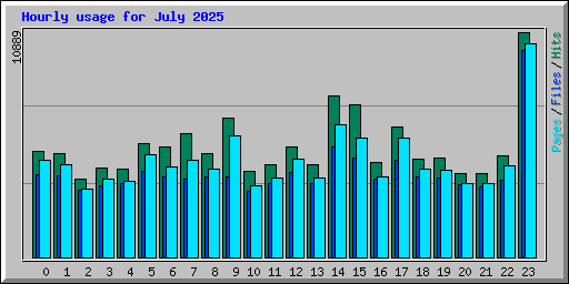 Hourly usage for July 2025