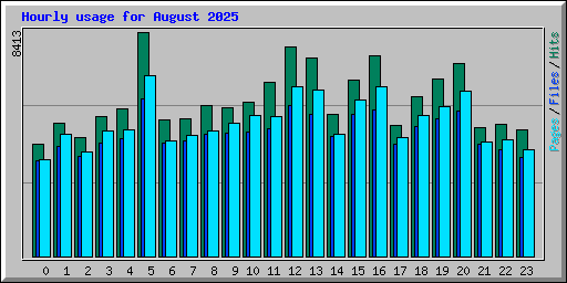 Hourly usage for August 2025