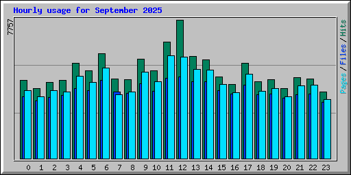 Hourly usage for September 2025